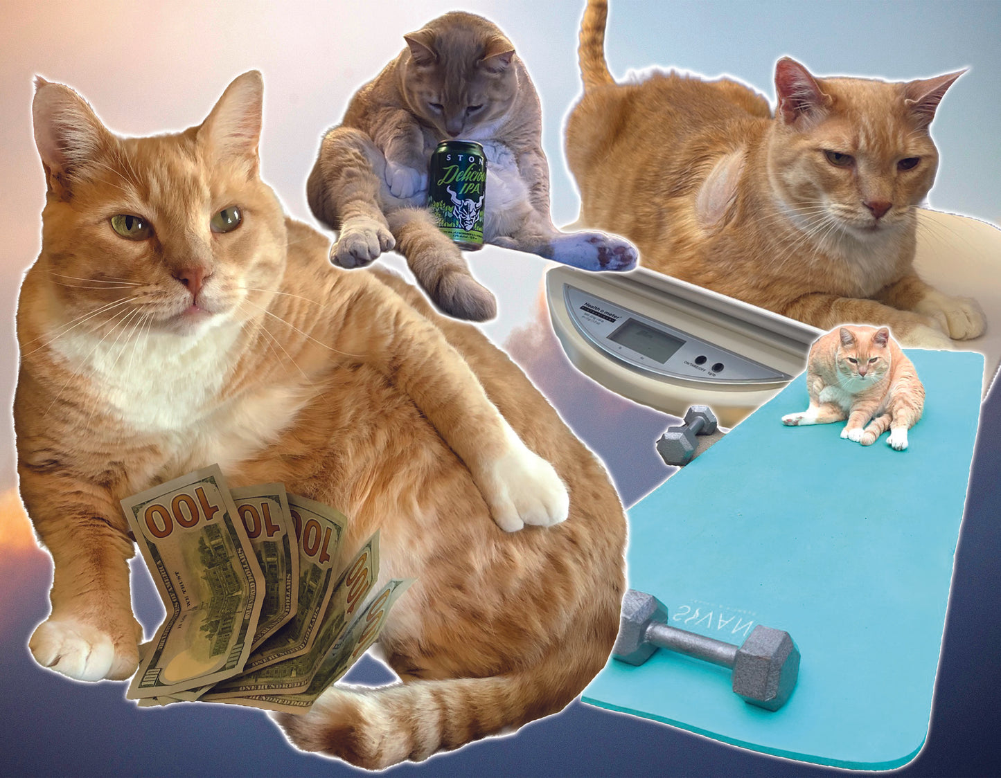 Cheeto 2026 Calendar