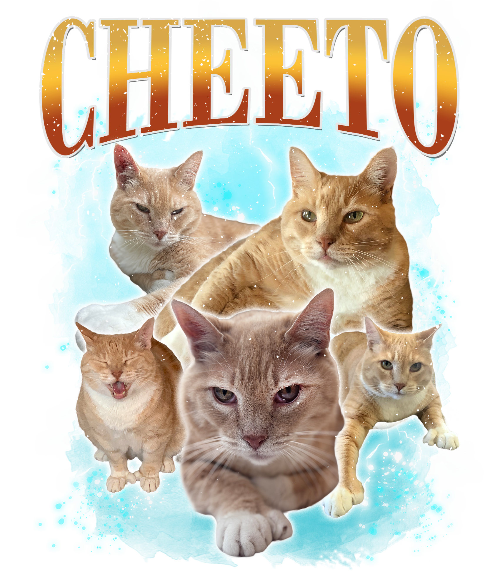 Cheeto Drop – Raquel Rodriguez Store