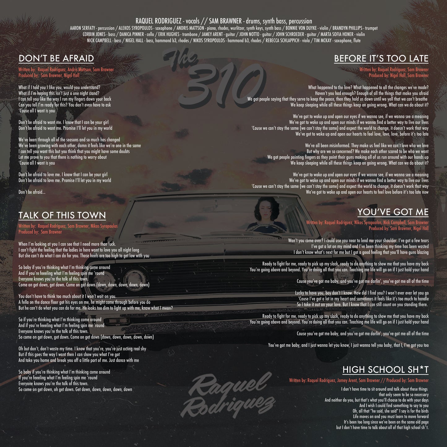THE 310 COMPILATION - VINYL (Standard Black)