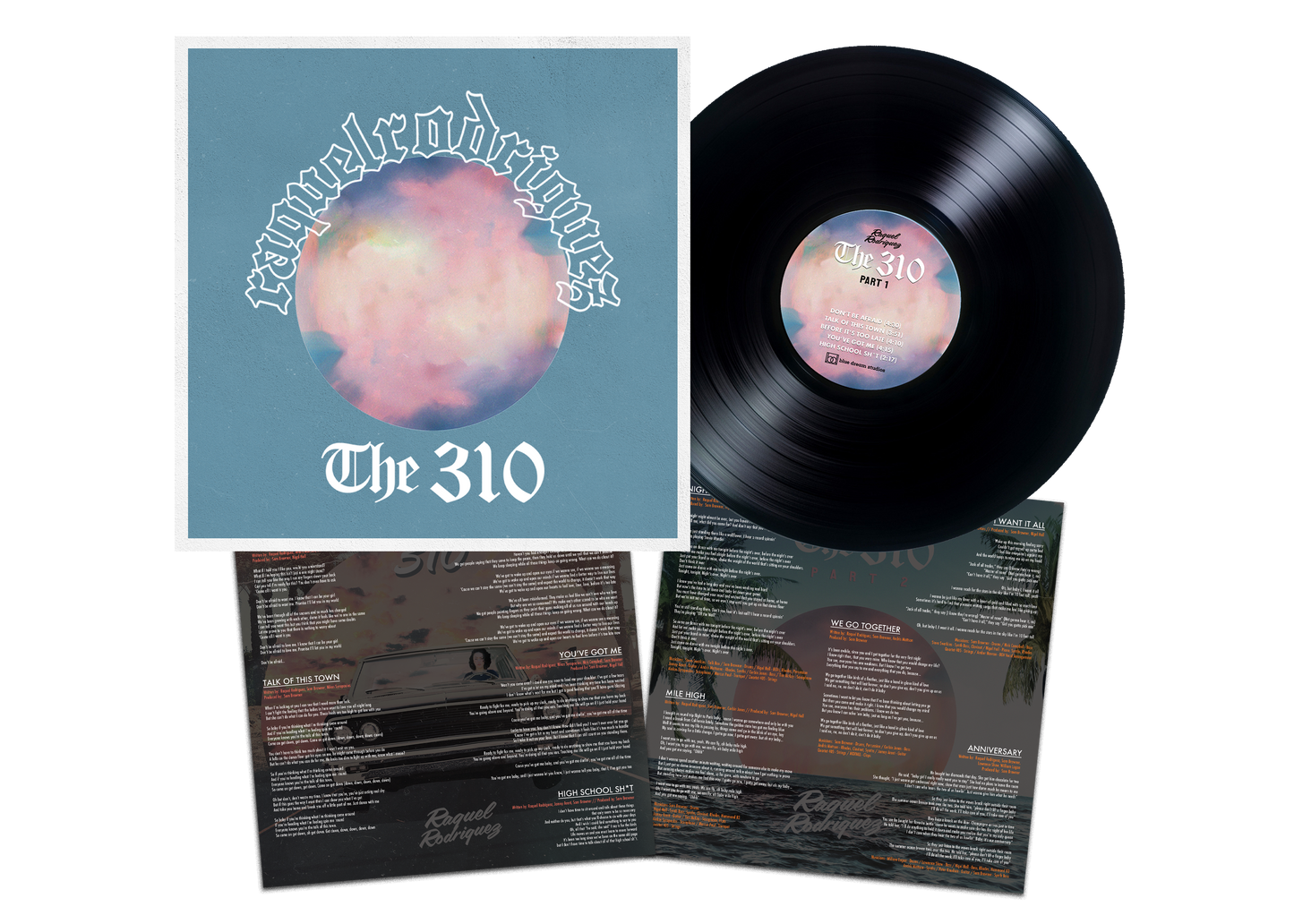 THE 310 COMPILATION - VINYL (Standard Black)